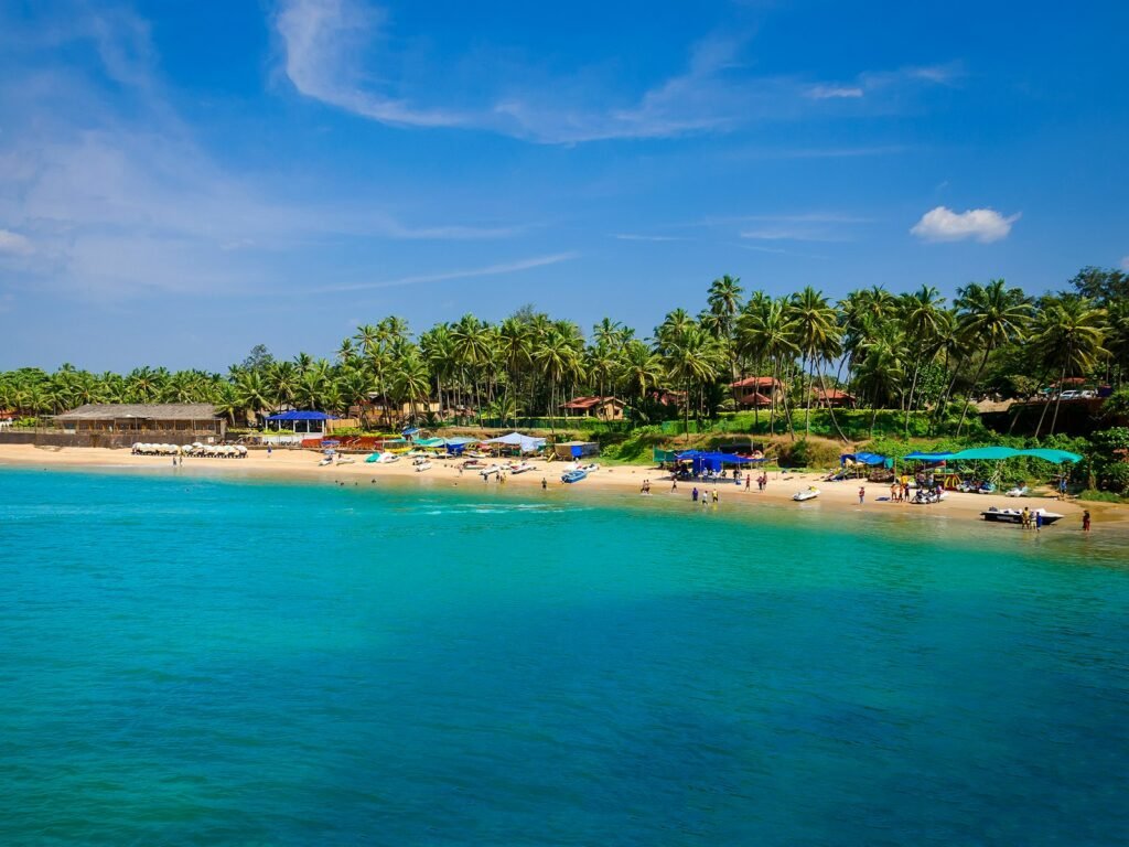 Goa beach with palm trees and turquoise sea
