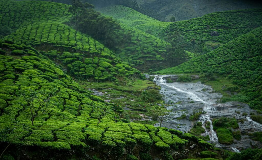 Kerala holiday package – Traaexplore