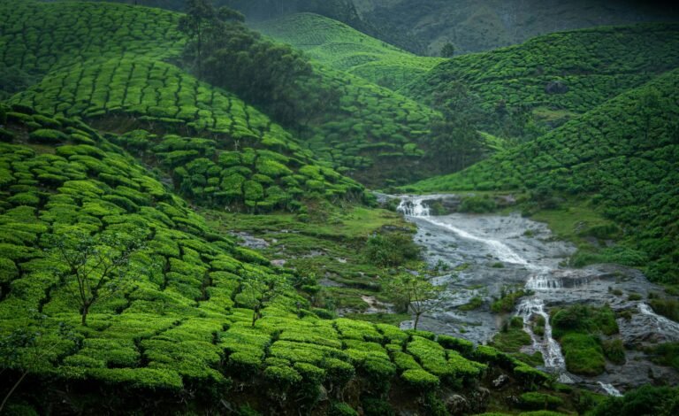 Kerala holiday package from Bangalore
