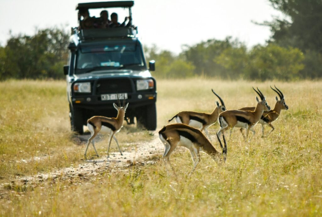 Masai Mara luxury holiday – Traaexplore